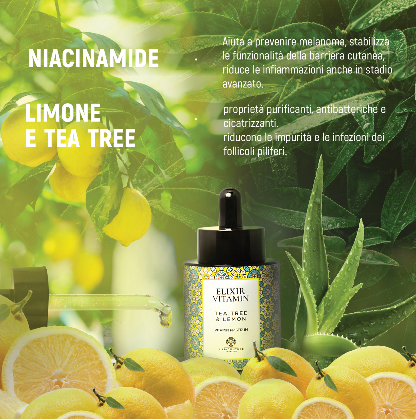 lemon4